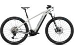 Radon Jealous Hybride 10.0 625