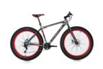 Fat Bike