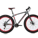 Fat Bike