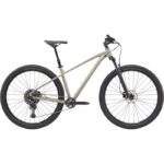 SENTIER DE CANNONDALE 1 29