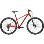 SENTIER CANNONDALE 2 29