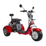 Vélo électrique City Coco 3 roues CP3 2000 watts 2 places avec panier