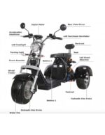 Vélo électrique City Coco 3 roues CP3 2000 watts 2 places avec panier – Image 11