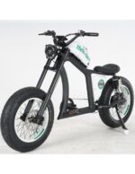 Hachoir à mangoustan City Coco FT02 750 watts – Image 3