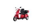 COCO - Trottinette électrique 3 roues 2 places, 1000 watts, pour les personnes à mobilité réduite et les personnes âgées