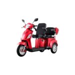 COCO - Trottinette électrique 3 roues 2 places, 1000 watts, pour les personnes à mobilité réduite et les personnes âgées