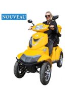 Trottinette électrique Electroride FASTI 4 MAX 1000 W à 4 roues pour PMR, homologuée pour la route – Image 2