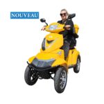 Trottinette électrique Electroride FASTI 4 MAX 1000 W à 4 roues pour PMR, homologuée pour la route