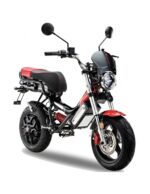 Moto électrique Garelli – Image 2