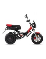 Moto électrique Garelli – Image 3