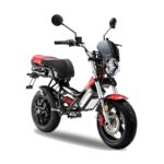 Moto électrique Garelli