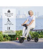 Trottinette électrique MATE 4 à 3 roues, pliable, batterie amovible de 16 kg, tricycle électrique à 3 roues pour PMR ultraléger – Image 25