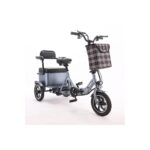 PASS 2 - Tricycle électrique à 3 roues pour 2 personnes avec assistance au pédalage