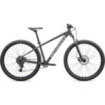 SPÉCIALISÉ ROCKHOPPER SPORT 29 2025