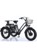 Tricycle cross fatbike biplace pour personnes à mobilité réduite, 500 watts – Image 2
