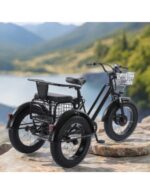 Tricycle cross fatbike biplace pour personnes à mobilité réduite, 500 watts – Image 16