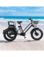 Tricycle cross fatbike biplace pour personnes à mobilité réduite, 500 watts – Image 17
