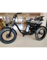 Tricycle cross fatbike biplace pour personnes à mobilité réduite, 500 watts – Image 19