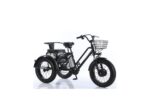 Tricycle cross fatbike biplace pour personnes à mobilité réduite, 500 watts