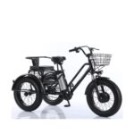 Tricycle cross fatbike biplace pour personnes à mobilité réduite, 500 watts