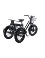 Tricycle cross fatbike biplace pour personnes à mobilité réduite, 500 watts – Image 3