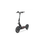 Trottinette électrique DUALTRON CITY 60V